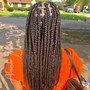 Small/mid back Length Box braids