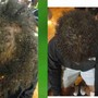 GODDISS PACKAGE for Natural Hair