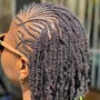 Tree Braids