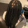 Tree Braids