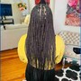 Jumbo knotless Braids