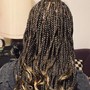 Box Braids