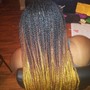 Box Braids