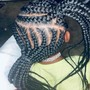 Stitch Braids(10)hair included