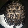 Comb Coils