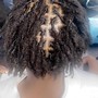 Re-twist