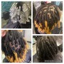 Starter Locs