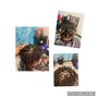 Starter Locs