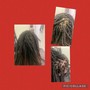 Starter Locs