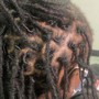 Starter Locs