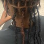 Starter Sister locs