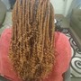 Regular Crochet Braids (bring your hair)