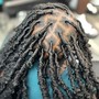 Starter Dreadlocks