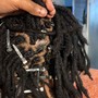 Root Touch Up