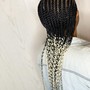 Tribal Braid