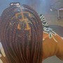 medium box Braids