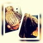 Poetic Justice Braids