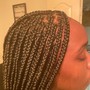 Two Strand Twist