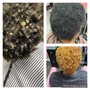 Hydrotherapy Treatment only/ wash n go