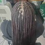 Havana Twists