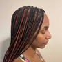 Individual Braids / Twist touch up