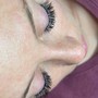 Eyebrow: Ombré Powder Tattooing