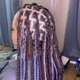 Shoulder length butterfly locs