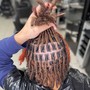 Root Touch Up