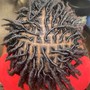 Starter Locs