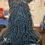 Crochet Braid Styles