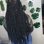 HALF AND HALF COLORED LOCS