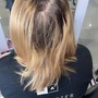 Root Touch Up