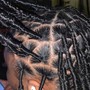 Starter locs