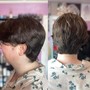 Short/Fine hair shampoo, cut, blow dry