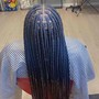 Small Box Braids