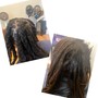 Medium loc/retwist/ -palm roll