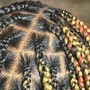 Single Box Braids