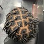 Medium size Comb Twist/starter locs