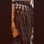 SMedium Senegalese Twists braids