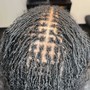 Sisterlocks with SepphoraLocs Extensions Establishment