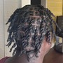 Natural Loc Style Takedown