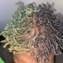 Loc Maintenance