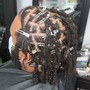 Two Strand Twist on Natural Hair (natural parts)