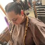 2 feed-in Braids