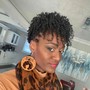 Natural Twist Out Styles (no added hair)