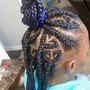 Kids Feed ins w/ Individual Braids (Age 3-11)