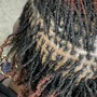 Starter Locs (Comb twist method) - Up to 120 Locs