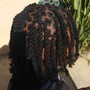 Micro Locs ( Hair Extensions not included)