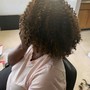 Transitioning Cut (big chop)