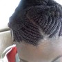 Feed in braids ponytail (small)